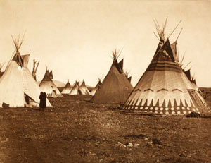 Tipi